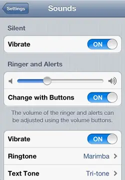iPhone plays back system alert sounds