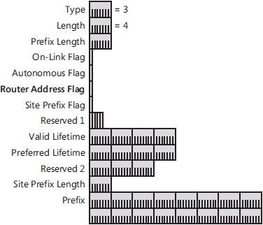 The structure of the modified Prefix Information option