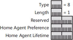 The structure of the Home Agent Information option