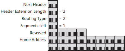 The structure of the new Type 2 Routing header