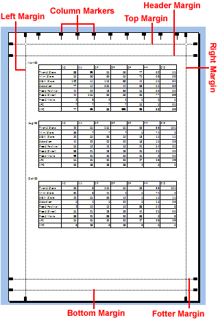 Page Margin