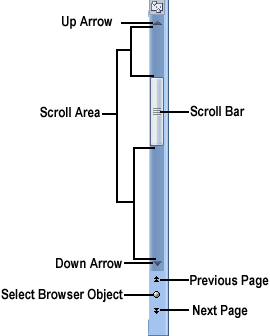 Scroll Bar