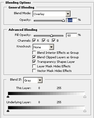 Blending Options: Customs